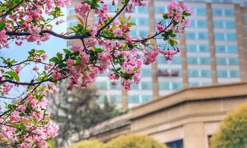 Radisson Collection Hotel,Xing Guo Shanghai