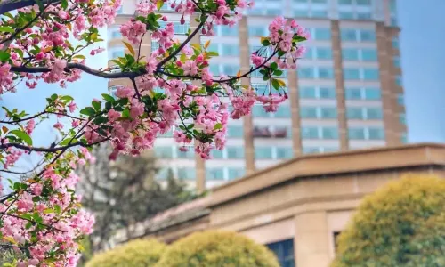 Radisson Collection Hotel,Xing Guo Shanghai