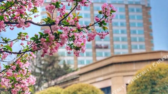 Radisson Collection Hotel,Xing Guo Shanghai