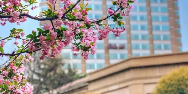 Hoteles recomendados por viajeros de todo el mundo populares en Shanghái