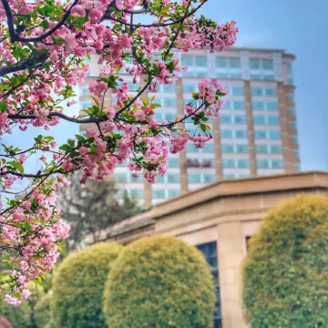 Radisson Collection Hotel,Xing Guo Shanghai Отели рядом с достопримечательностью «Шанхайская библиотека»