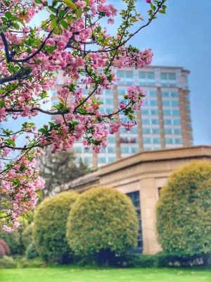 Radisson Collection Hotel,Xing Guo Shanghai Отели рядом с достопримечательностью «Physical Education Department of Tongji University Huxi Branch»