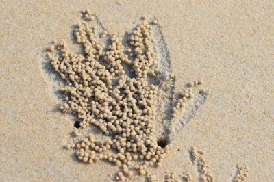 その他 ザ･ダタイ ランカウイの写真