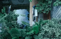 Wugu Inn Hotels near Dali Ancient Town Scenic Area Self-Guided Tour Bus Stop