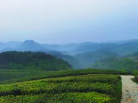 保康西嶺山荘 - マウンテンビュー