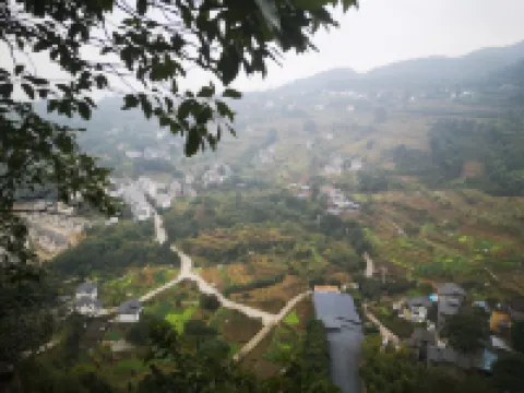 Taole Forest Hostel Hotels near Chongqing Botanical Garden (Jinyun Road)