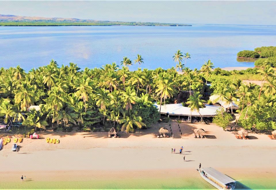 a tropical beach with palm trees , a sandy beach , and a group of people walking along the shore at Likuri Island Resort Fiji
