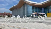 Xiong'an Aquarium Light Luxury Hotel