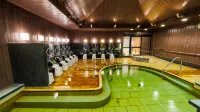 Kamenoi Hotel Nara - Hot Springs
