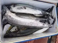 Huihuang Holiday Inn