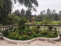 Yizhai Xiaoyuan B&B Hotels in Qisha Harbour Market/Paradise Beach