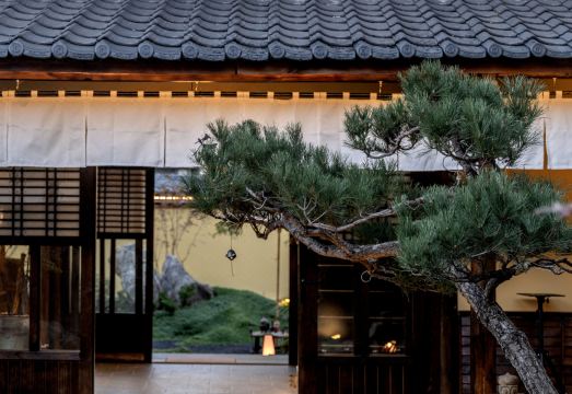 凡舍茶苑.古风禅意庭院外景图