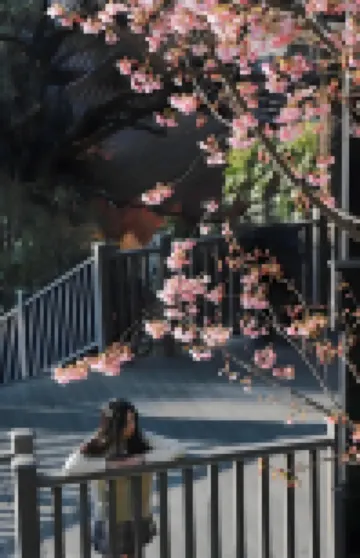 穿越時光ホテル 温州（温州5050ショッピングセンター） 温州動物園周辺のホテル