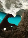 鶴峯青青小院民宿