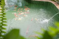 那佳Master NARKA空間設計師庭院莊園（昆明長水國際機場店） - 水上樂園
