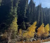 Urumqi Nanshan Forest Health - Wellness Resort Hotel