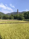 Tiantai Qingyin Inn Homestay (Guoqing Temple Scenic Area) - New
