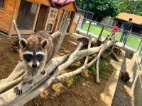 Xilegu Pet-Friendly Resort Hotel - Kuntosalit