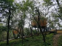 关山草原桦溪宿上树屋民宿 - 景观豪华标间