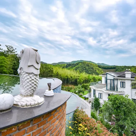 Huzhou Xisai  mountain col in the courtyard home stay