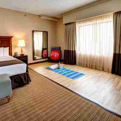 DoubleTree by Hilton Chicago O'Hare Airport-Rosemont Rooms