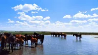 Damao Qiyubao Xianghui Resort Hotels near Xilamuren Prairie
