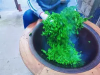 She De Yuan Boutique Homestay Hotels in Yixian