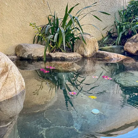 Dali Moyu Shanhai Homestay