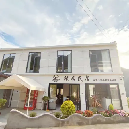 Lucun Homestay