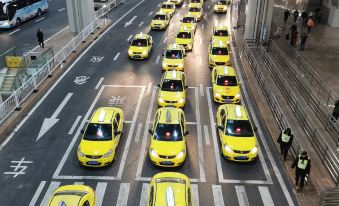 Platinum theme hotel (Chongqing Jiangbei International Airport Yuelai Guobo Store