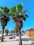 Beihai Misty Youth Hostel - خلابة
