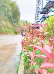 悠家登高民宿 南平