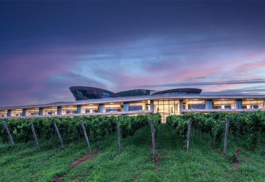 타오뉴링 리조트의 포도밭 전망