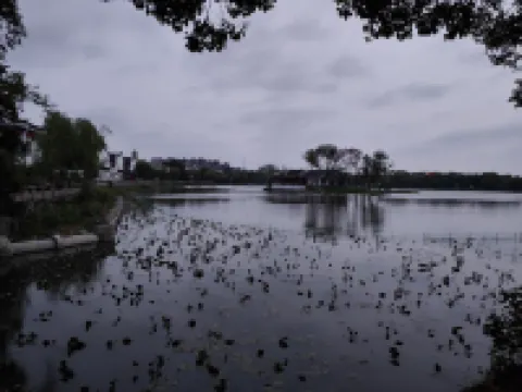 Chulai Homestay (Jingzhou Ancient City Museum)
