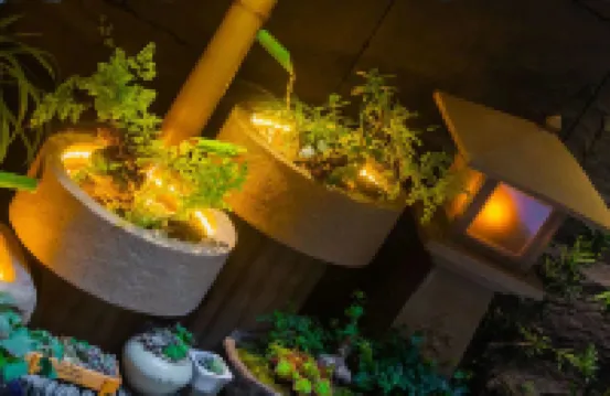 Gudao Cuyun Homestay