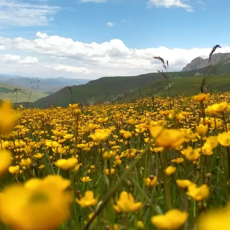 Sana Smart Oxygen Residence (Luqu Langmusi)
