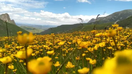 Sana Smart Oxygen Residence (Luqu Langmusi) Отели рядом с достопримечательностью «Gandansaichi Temple»