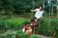 Suxin garden·Villas