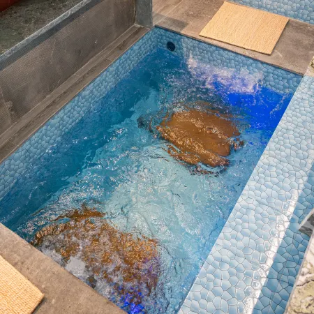 Mortal Habitat Private Hot Spring Garden Parent-Child Vacation Homestay