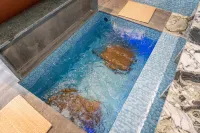 Mortal Habitat Private Hot Spring Garden Parent-Child Vacation Homestay - Pemandian Air Panas