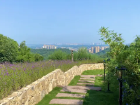 自在山裡·養生療癒民宿（龍泉山風景區店）