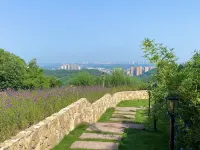 Free and Easy Mountain · Healing and Nourishing Homestay Hotels near Longquan Tian'exiang Mingsheng Agricultural and Nonstaple Products Purchasing Station