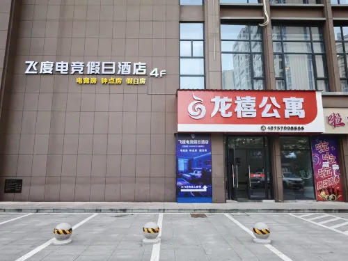 Longyou Feidu E-sports Holiday Homestay