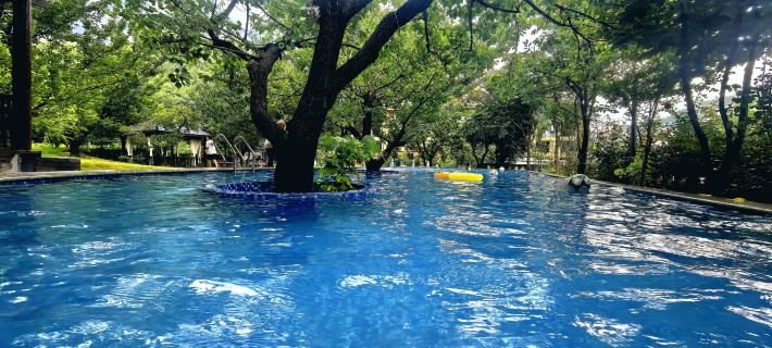 Yuntai Mountain Azalea Green Meadow Resort Hotel Hotels in Xiuwu