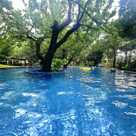 Yuntai Mountain Azalea Green Meadow Resort Hotel