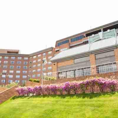 洞爺湖万世閣ホテル レイクサイドテラス Hotel Exterior