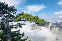 Huashan Chenxi Warm Apartment