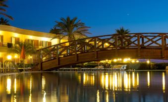a wooden bridge with a view of the water , surrounded by palm trees and lit up at night at Hotel Poseidon