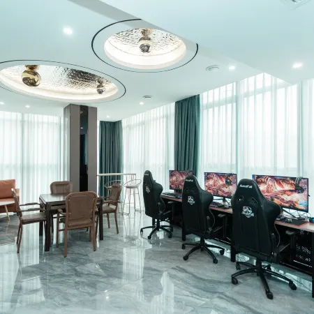 Linyi Bobo Xiong E-sports Hotel