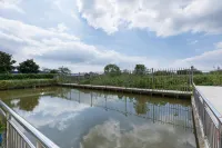 Qizhan Homestay Отели рядом с достопримечательностью «Храм Сан-Будды»